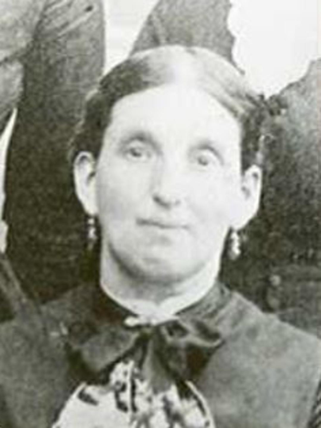 Emily Frances Burnham (1840 - 1911) Profile